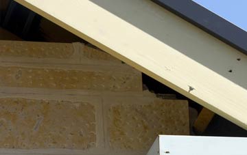 soffit repair Bosham